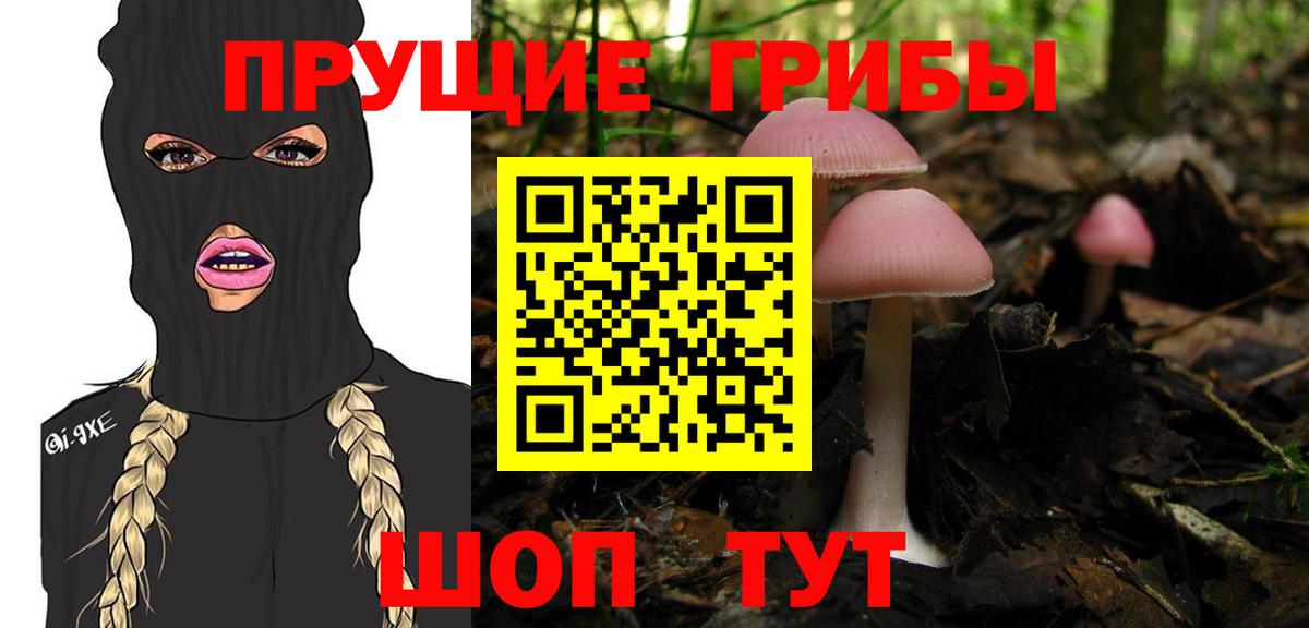 Полысаево  Галлюциногенные грибы Psilocybe  Вход с VPN 